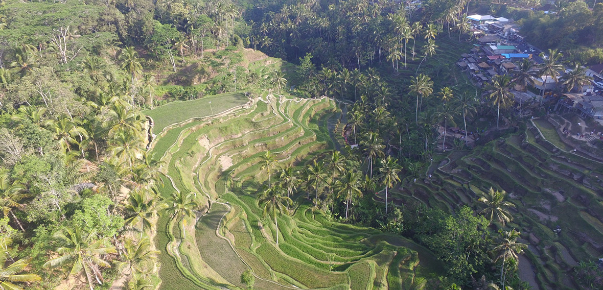Вид с квадрокоптера на остров Бали